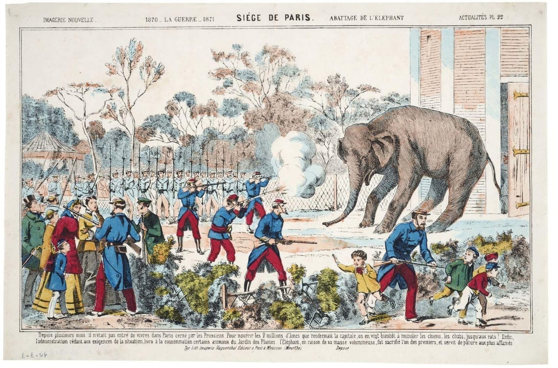 Quand Paris mangeait de l'éléphant et du rat