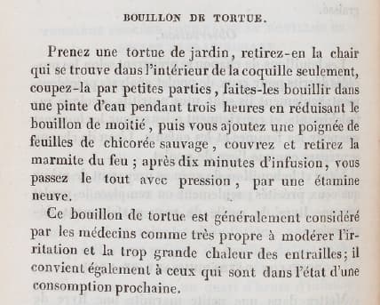 La recette du bouillon de tortue de 1833
